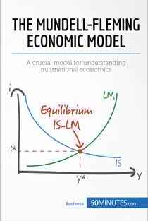 The Mundell-Fleming Economic Model - A crucial model for understanding international economics