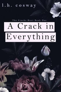 A Crack in Everything - Cracks, #1