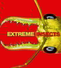 Extreme Insects