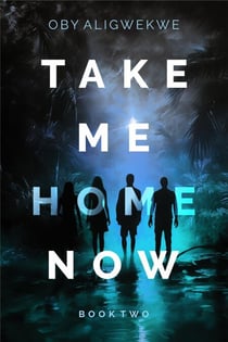 Take Me Home Now 2 - TAKE ME HOME NOW, #2