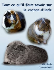 Tout ce qu'il faut savoir sur le cochon d'inde (nouvelle édition) - nouvelle édition