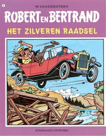 Het zilveren raadsel