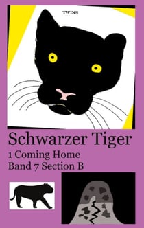 Schwarzer Tiger 1 Coming Home - Band 7 Section B