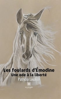 Les foulards d’Émodine - Une ode à la liberté