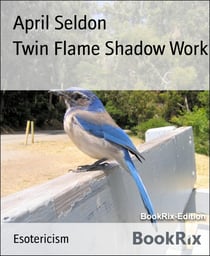Twin Flame Shadow Work - Shadow Work for Twin Flame Souls