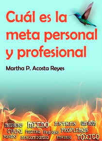 Cuál es la meta personal y profesional