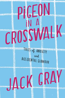 Pigeon in a Crosswalk - Tales of Anxiety and Accidental Glamour