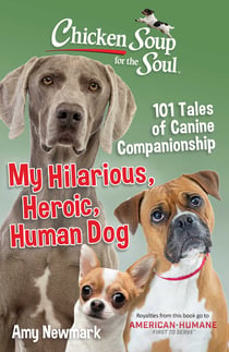 Chicken Soup for the Soul: My Hilarious, Heroic, Human Dog - 101 Tales of Canine Companionship