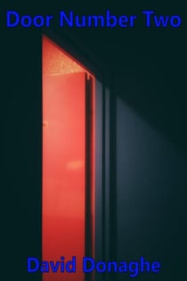 Door Number Two - The Mike McDonald Action Adventure Saga, #4