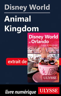 Disney World - Animal Kingdom