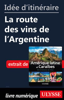 Idée d'itinéraire - La route des vins de l'Argentine