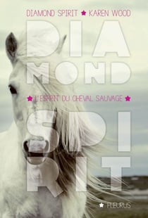 L'esprit du cheval sauvage - Diamond Spirit - Tome 2