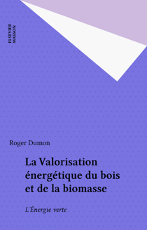 La Valorisation énergétique du bois et de la biomasse - L'Énergie verte