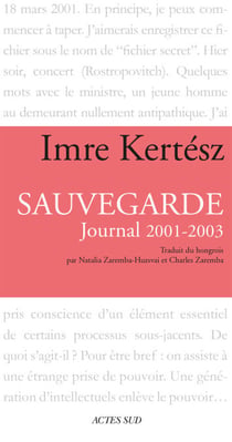 Sauvegarde - Journal 2001-2003