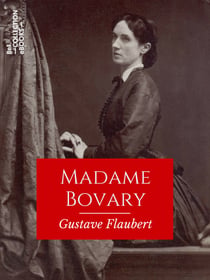 Madame Bovary - Mœurs de province