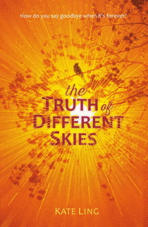 The Truth of Different Skies - Book 3