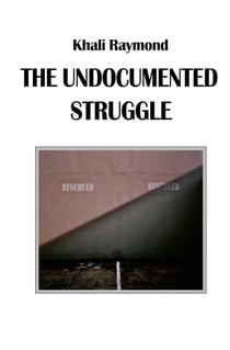 The Undocumented Struggle - Ballad Universe, #2