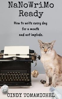 NaNoWriMo Ready - Writing Organization, #1