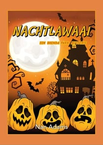 Nachtlawaai - Brenda Park Mysteries, #4