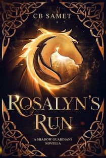 Rosalyn's Run - The Shadow Guardians, #1.5