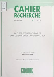 La place des biens durables dans l'évolution de la consommation - Motivations d'achat des biens durables