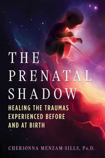 The Prenatal Shadow - Healing the Traumas Experienced before and at Birth