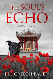 The Soul's Echo: A Short Story
