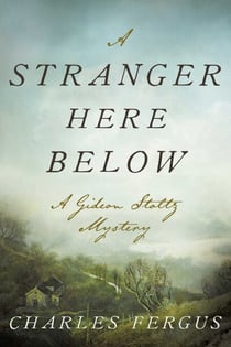 A Stranger Here Below - A Gideon Stoltz Mystery