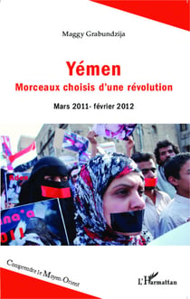 Yémen - Morceaux choisis d'une révolution - Mars 2011 - février 2012