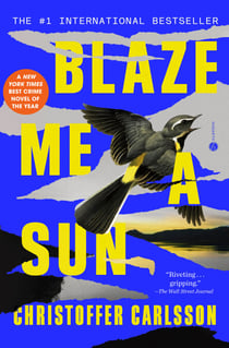 Blaze Me a Sun - A Novel About a Crime