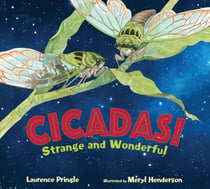 Cicadas! - Strange and Wonderful
