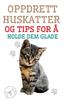 Oppdrett Huskatter og Tips for å Holde dem Glade