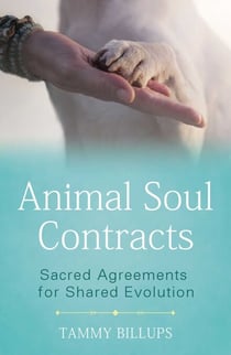 Animal Soul Contracts - Sacred Agreements for Shared Evolution