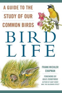 Bird Life - A Guide to the Study of Our Common Birds