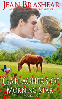 The Gallaghers of Morning Star boxed set - Texas Heroes