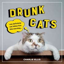 Drunk Cats - Hilarious Snaps of Wasted Cats
