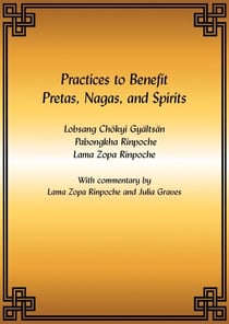 Practices to Benefit Pretas, Nagas and Spirits eBook