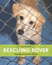 Rescuing Rover - Saving America's Dogs'