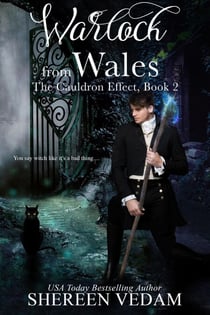 Warlock from Wales - The Cauldron Effect, #2