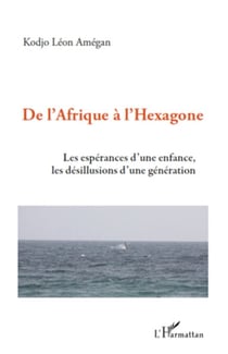 De l'Afrique à l'hexagone - Les espérances d'une enfance, les désillusions d'une génération