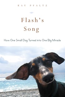 Flash's Song - How One Small Dog Turned into One Big Miracle