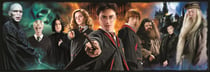 Puzzle 1000 pièces - Harry Potter - Clementoni