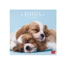 Calendrier mural 2024 Legami - 12 mois - Puppies - 30 x 29 cm