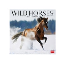 Calendrier mural 2024 Legami - 12 mois - Wild Horses - 30 x 29 cm