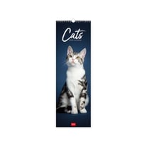 Calendrier mural - 2025 - Chats - 16x49