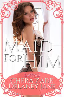 Maid for Him - Sexual Awakening, #3