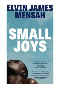 Small Joys - A Buzzfeed 'Amazing New Book You Need to Read ASAP'