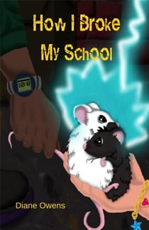 How I Broke My School