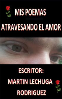 Mis Poemas Atrvezsando El Amor