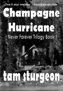 Never Forever - The Champagne Hurricane Trilogy - Book 1